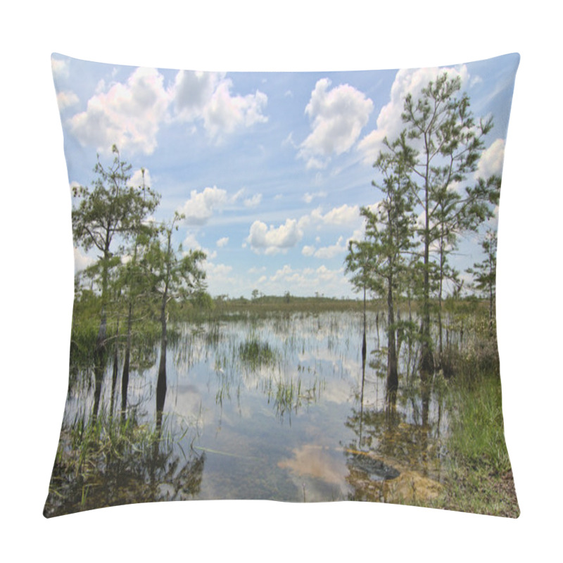 Personality  Everglades Landscape 8 Pillow Covers