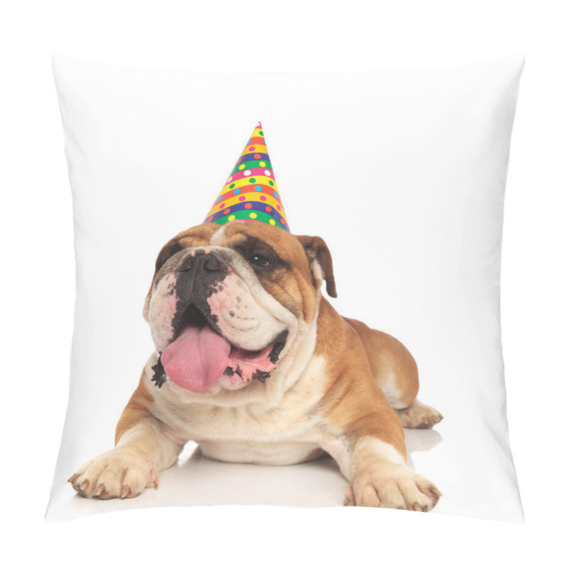 Personality  Cute Birthday English Bulldog Lying On White Background And Waiting For Its Cake, Looking To Side Pillow Covers