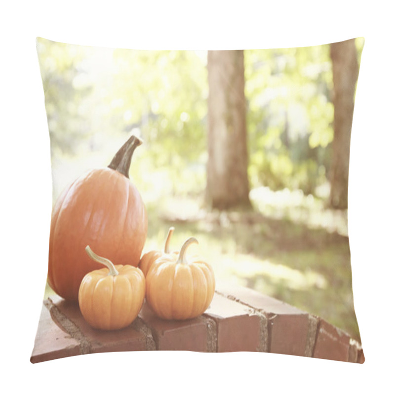 Personality  Pumpkins And Squashes Outside Pillow Covers