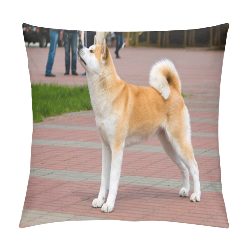 Personality  The Japanese Akita Inu Profile. Pillow Covers