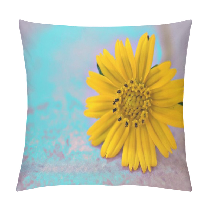 Personality  Closeup Yellow Daisy (Sphagneticola Trilobata) Flower With Light Blue Bright  Background, Macro Image, Sweet Color ,vintage Style For Card Design Pillow Covers