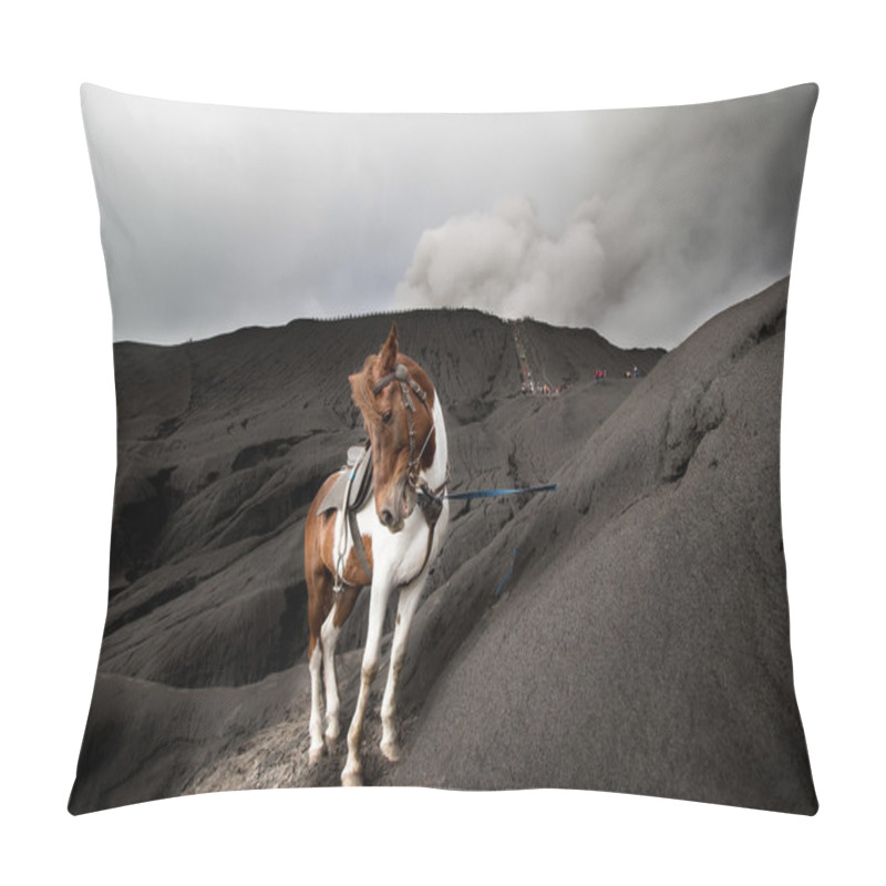 Personality  Horse And Mount Bromo Pillow Covers