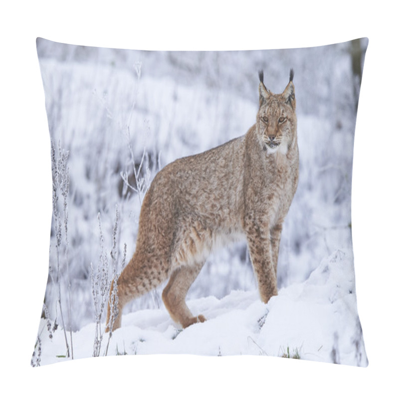 Personality  Eurasian Lynx In Snow Pillow Covers