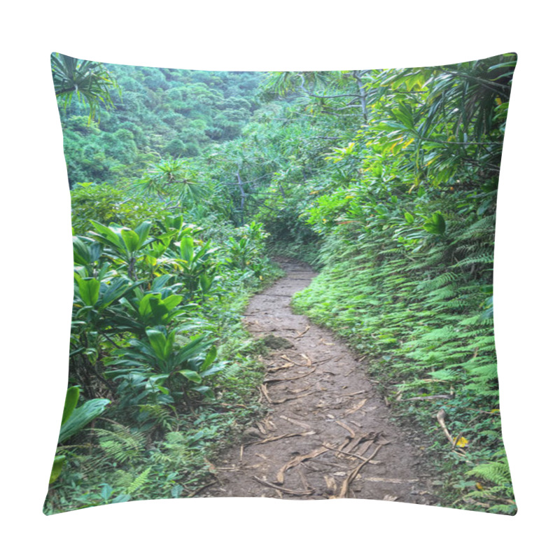 Personality  Challenging Kalalau Hiking Trail On The Hawaiian Island Of Kauai, USA Pillow Covers