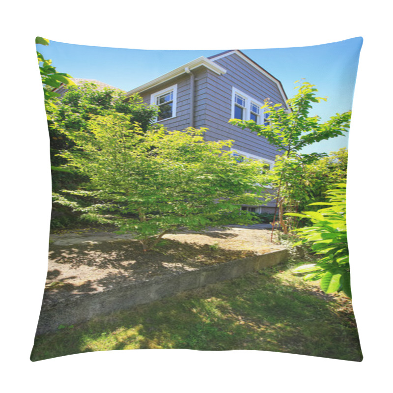 Personality  American Craftsman House Exterior. View From Garden Pillow Covers