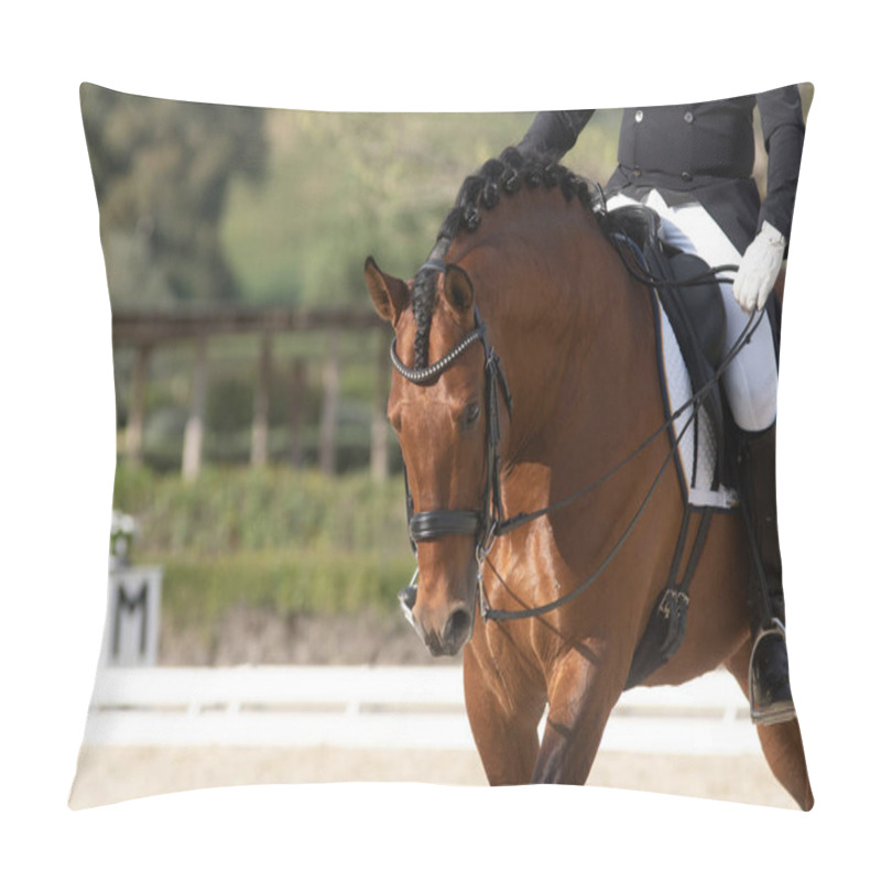 Personality  Face Portrait Of A Shiny Bay Spanish Horse In A Dressage Competition Pillow Covers