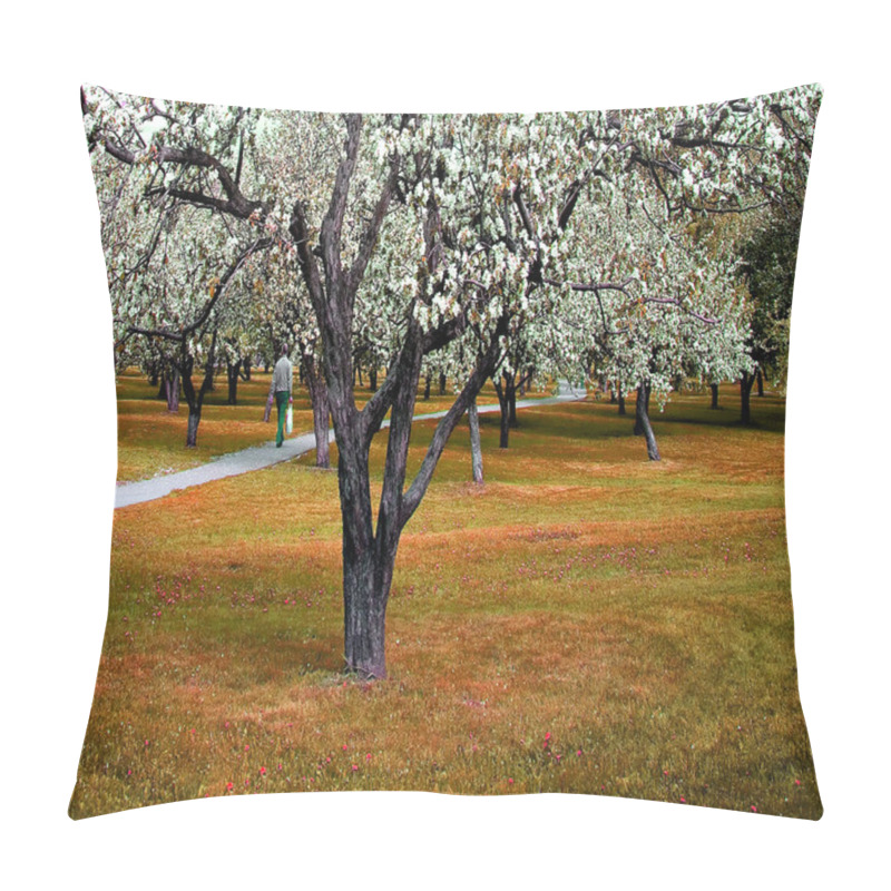 Personality  Blossoms On Footpath Through Autumn Forest Pillow Covers