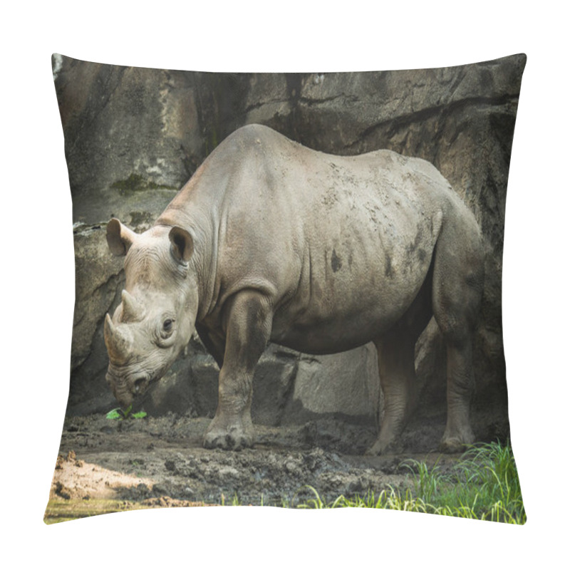 Personality  A Closeup Full Body Animal Portrait Of A Large Adult Eastern Black Rhinoceros. Pillow Covers