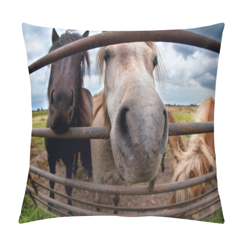 Personality  Funny Pony Behind Fence Close Up Pillow Covers