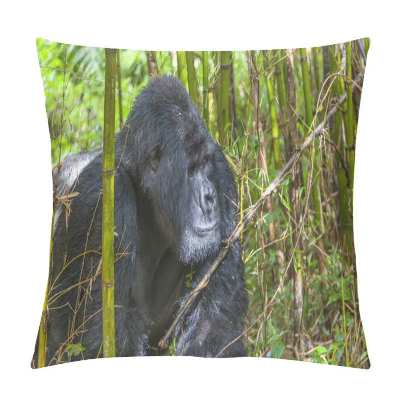 Personality  Guhonda The Largest Silverback Gorilla In Rwanda Pillow Covers