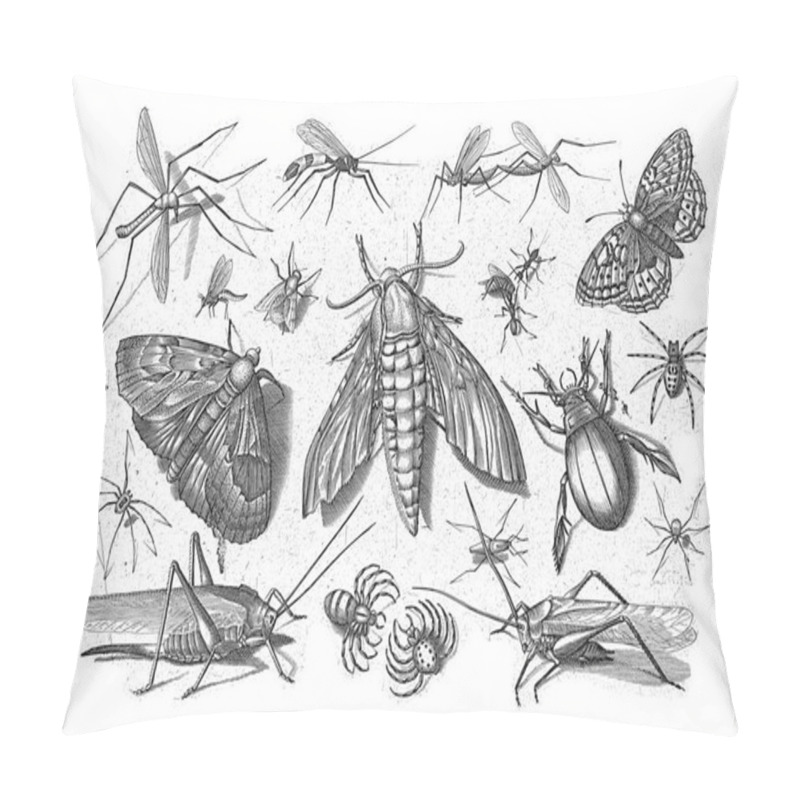 Personality  Various Insects With A Moth In The Middle. Pillow Covers