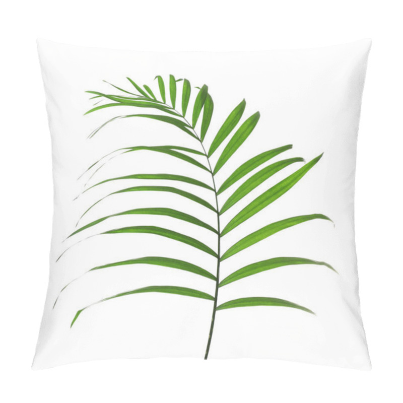 Personality  Beautiful Tropical Palm Leaf On White Background. Beach Object Pillow Covers