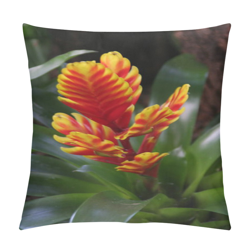 Personality  A Vibrant Red And Yellow Flower Is Beautifully Surrounded By Lush Green Leaves That Enhance Its Colorful Appearance In Nature Pillow Covers