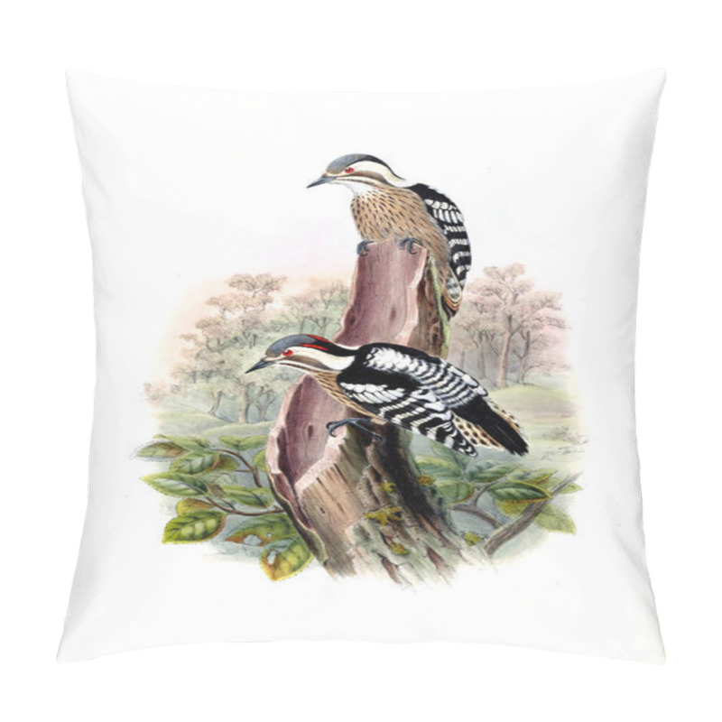 Personality  Illustration Of Animals Old Image Pillow Covers