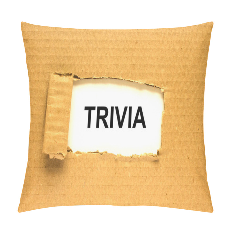 Personality  The Text Trivia Appearing Behind Torn Brown Paper Pillow Covers