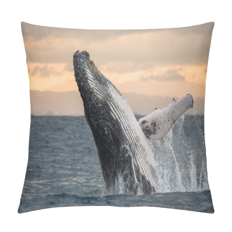 Personality  Whale Jumping In The Air Pillow Covers