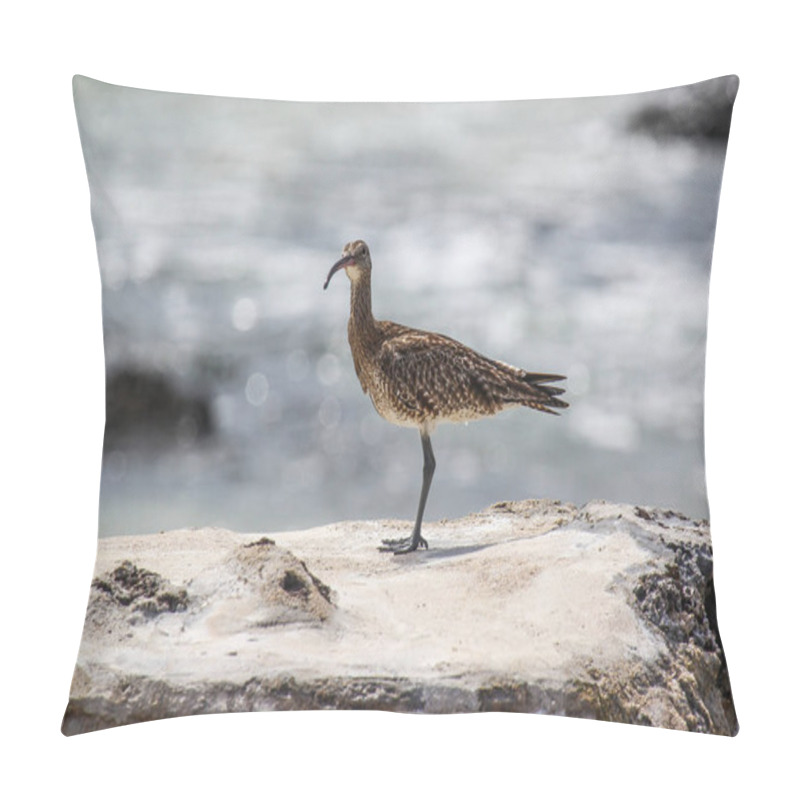 Personality  Vietnamese Curlew ( Numenius), Sits On The Reef On The Coast Of The Ocean Pillow Covers