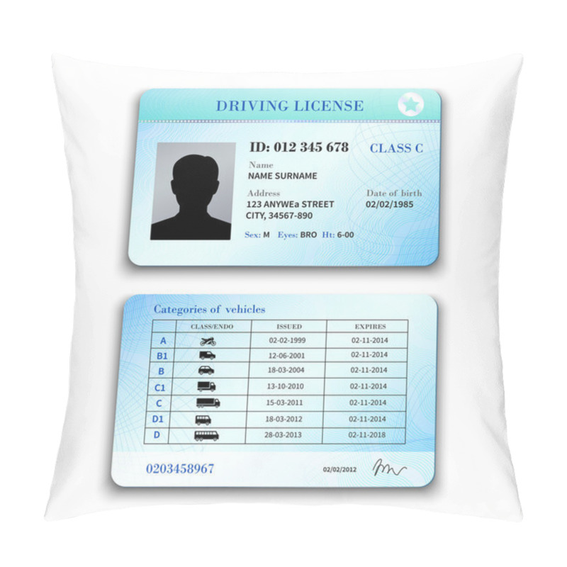 Personality  Driver License Illustration Pillow Covers