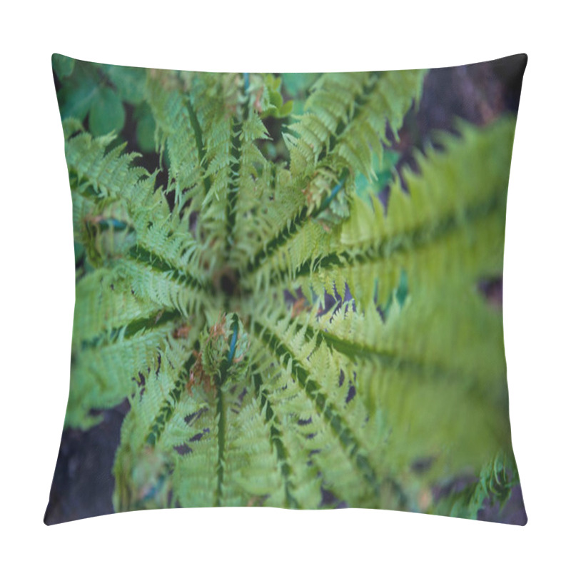 Personality  Selective Focus Of Beautiful Green Fern In Botanical Garden  Pillow Covers