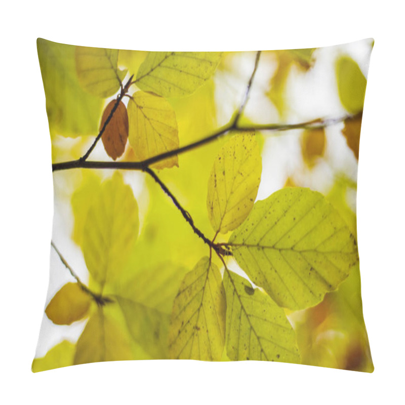 Personality  Close-up Of Autumn Leaves With Golden Hues. Detailed Close-up Of Autumn Leaves With Vibrant Yellow And Orange Hues, Capturing The Essence Of Seasonal Change In Nature. Pillow Covers