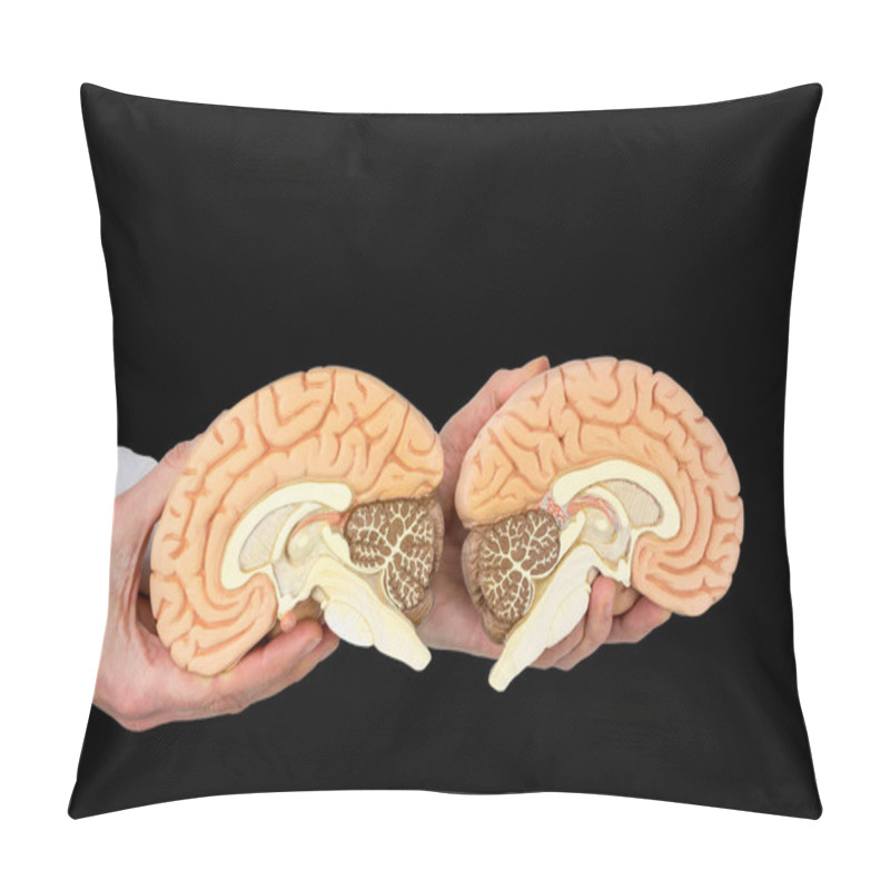 Personality  Hands Holding Models Human Brain Hemispheres Isolated On Black Background Pillow Covers