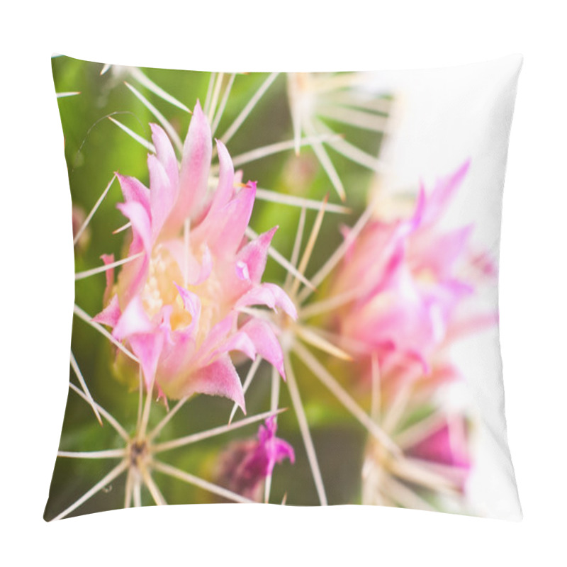 Personality  Cactus Flower Pillow Covers