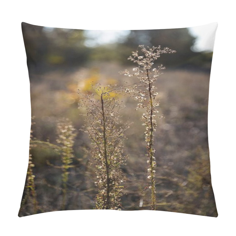 Personality  Wild Grass With Small Flowers Against A Blurred Autumn Landscape In Golden Tones Pillow Covers