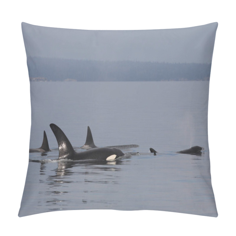 Personality  Schwertwal - Orca / Killer Whale / Orcinus Orca Pillow Covers