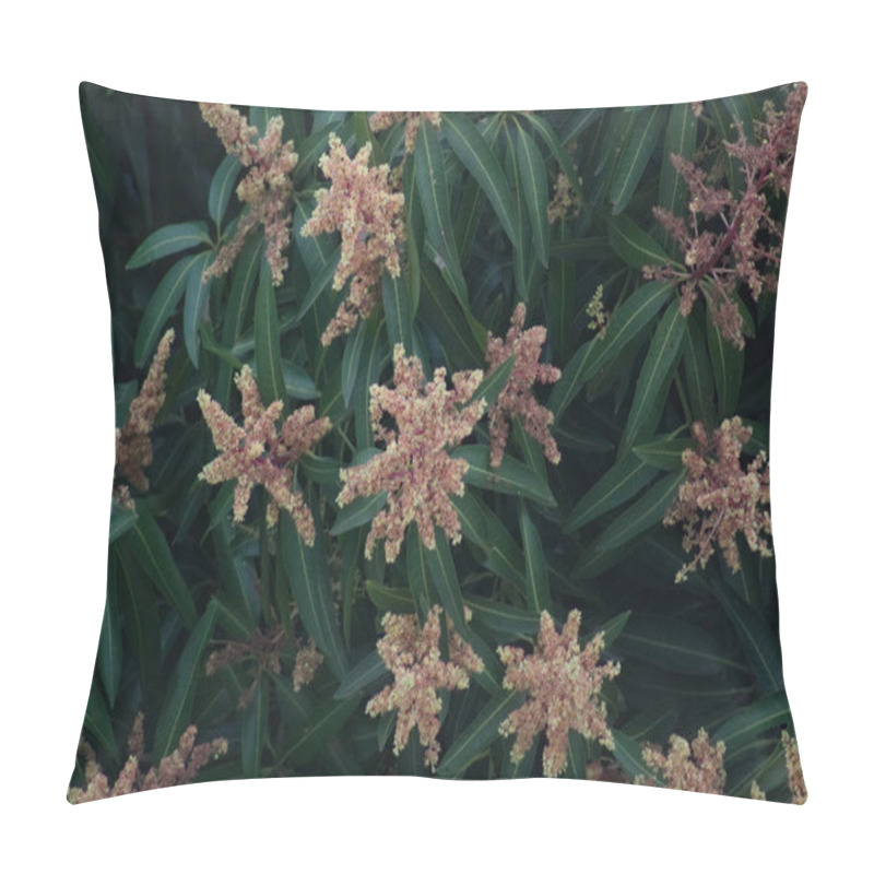 Personality  Close-up Of Vibrant Mango Tree Blossoms Surrounded By Lush Green Leaves, Perfect For Nature, Gardening, Or Agricultural Themes. Ideal For Stock Use In Botanical And Tropical Imagery. Pillow Covers