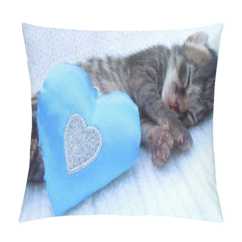 Personality  Sleeping Baby Kitten Pillow Covers