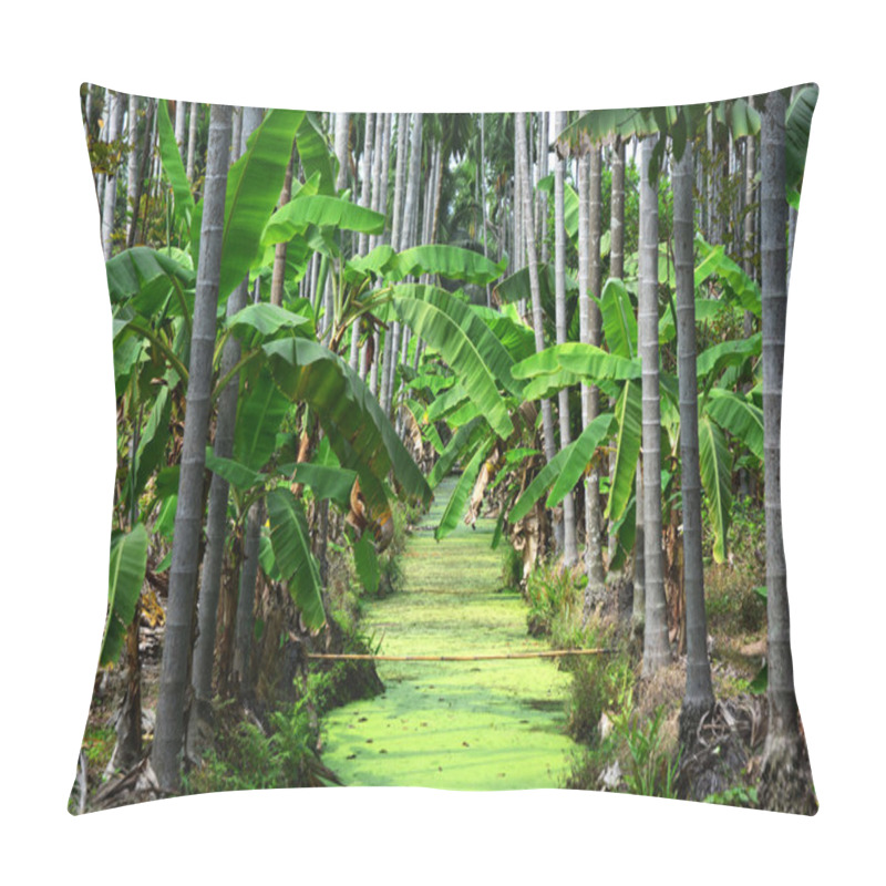 Personality  Betel Nuts Plantation & Banana Plantation Pillow Covers