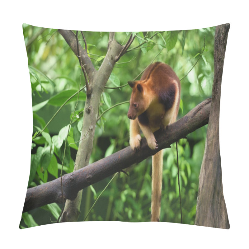 Personality  Goodfellow's Tree Kangaroo Pillow Covers