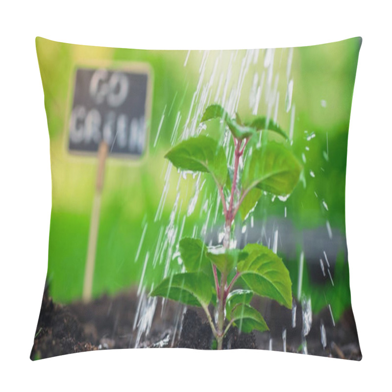 Personality  Close Up View Of Water Drops On Plant In Soil In Blurred Garden  Pillow Covers