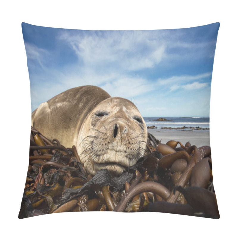 Personality  Close Up Of A Young Southern Elephant Seal Sleeping On A Sandy B Pillow Covers