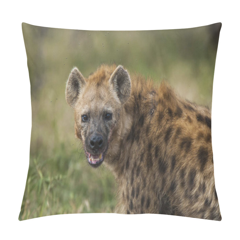 Personality  Hyena In Wild Nature Of South Africa Pillow Covers