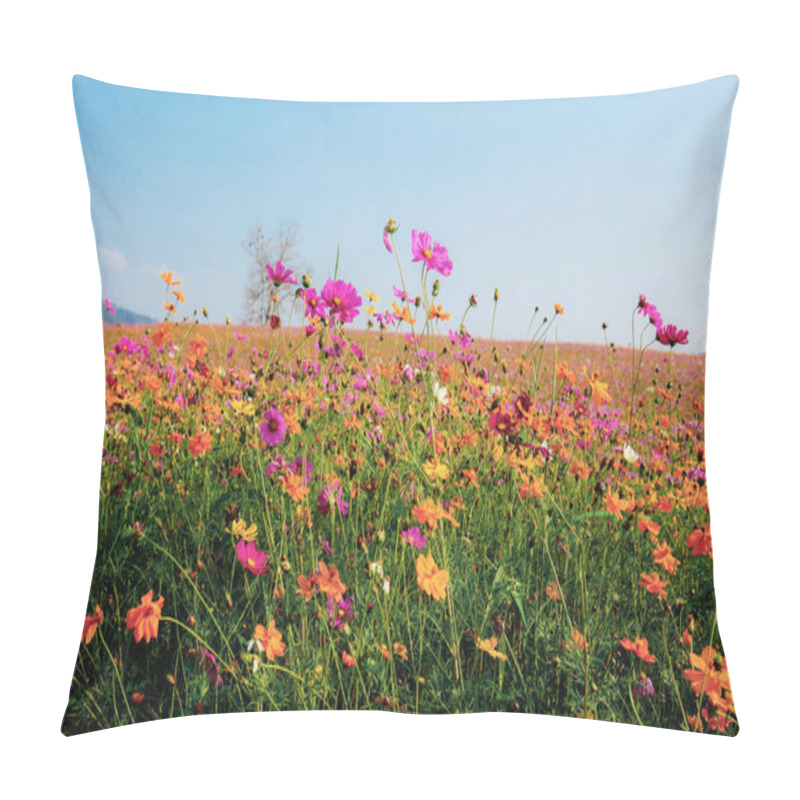 Personality  Cosmos In Field With Sky. Pillow Covers