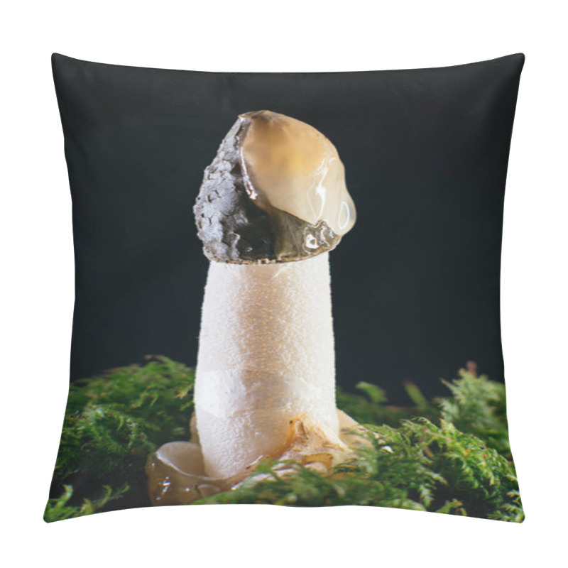 Personality  Phallus, rainbow mushroom, in the form of an erect male member, erection, seed sperm pillow covers