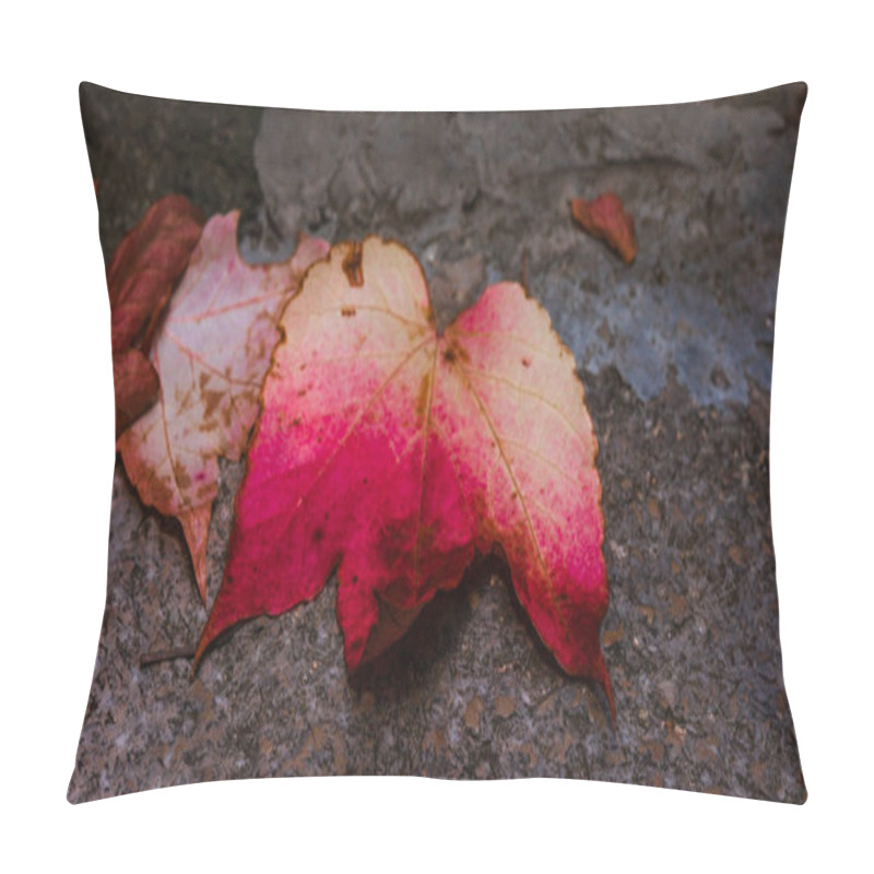 Personality  Eze Village, Medieval Village In Provence, French Riviera Pillow Covers