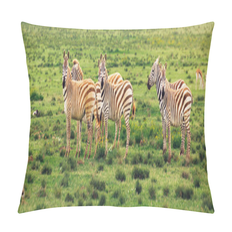 Personality  Group Of Zebras On Grassland  Pillow Covers