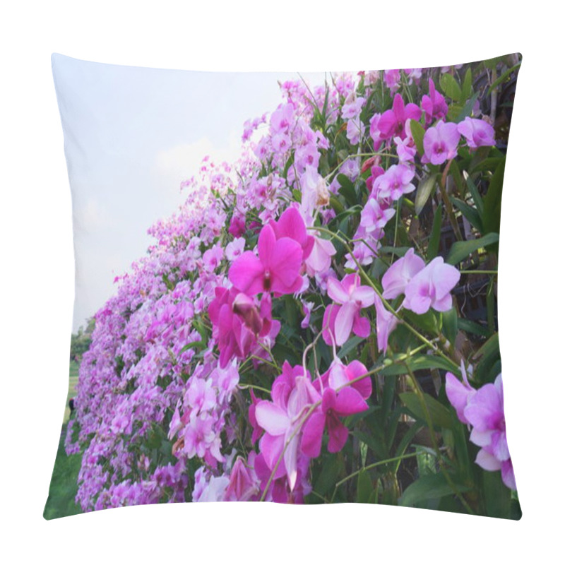 Personality  Bunches Of Pink Petals Dendrobium Hybrid Orchid Blossom On Dark Green Leaves Blurry Background  Pillow Covers