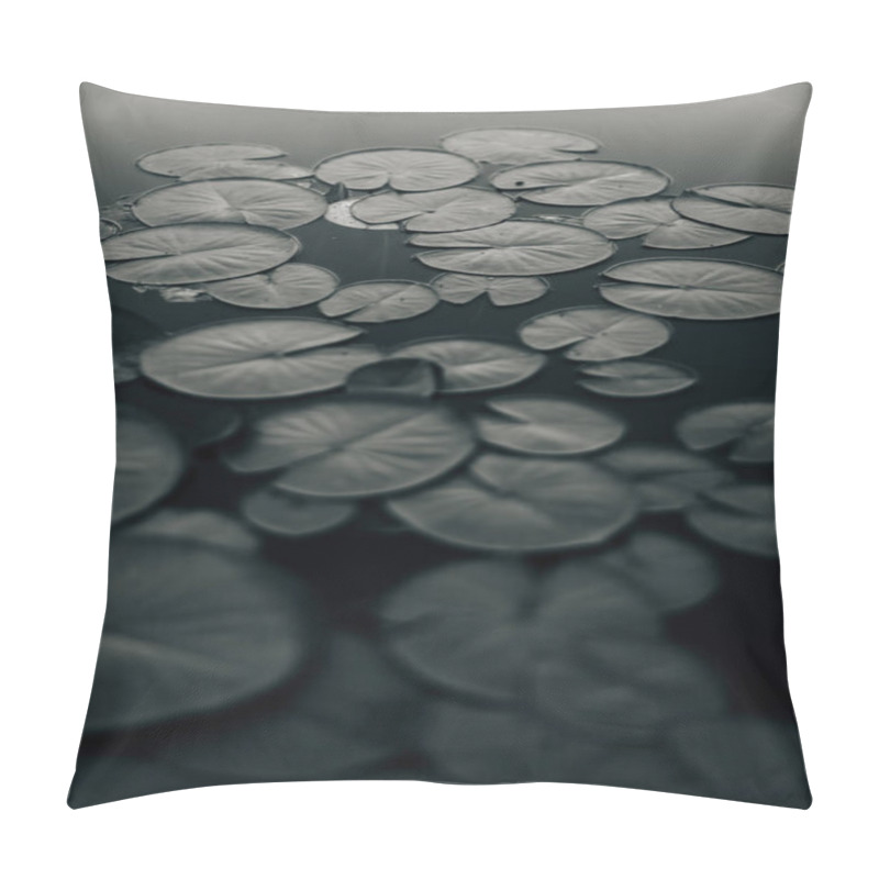 Personality  Black And White Water Lilies On The Water, A Beautiful Landscape Of Lakes And Plants Pillow Covers