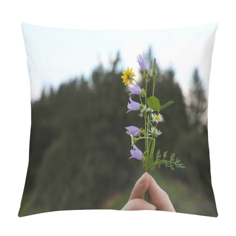 Personality  Woman Holding Blooming Meadow Flowers Outdoors, Closeup With Space For Text Pillow Covers