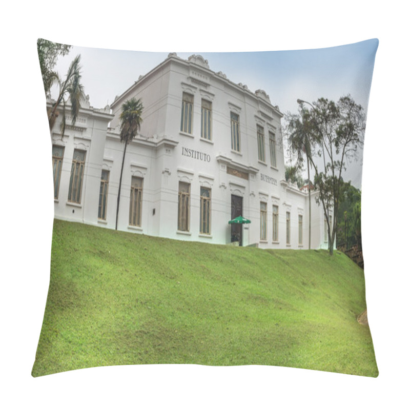 Personality  Facade Of Vital Brazil Building In Butantan Institute Pillow Covers