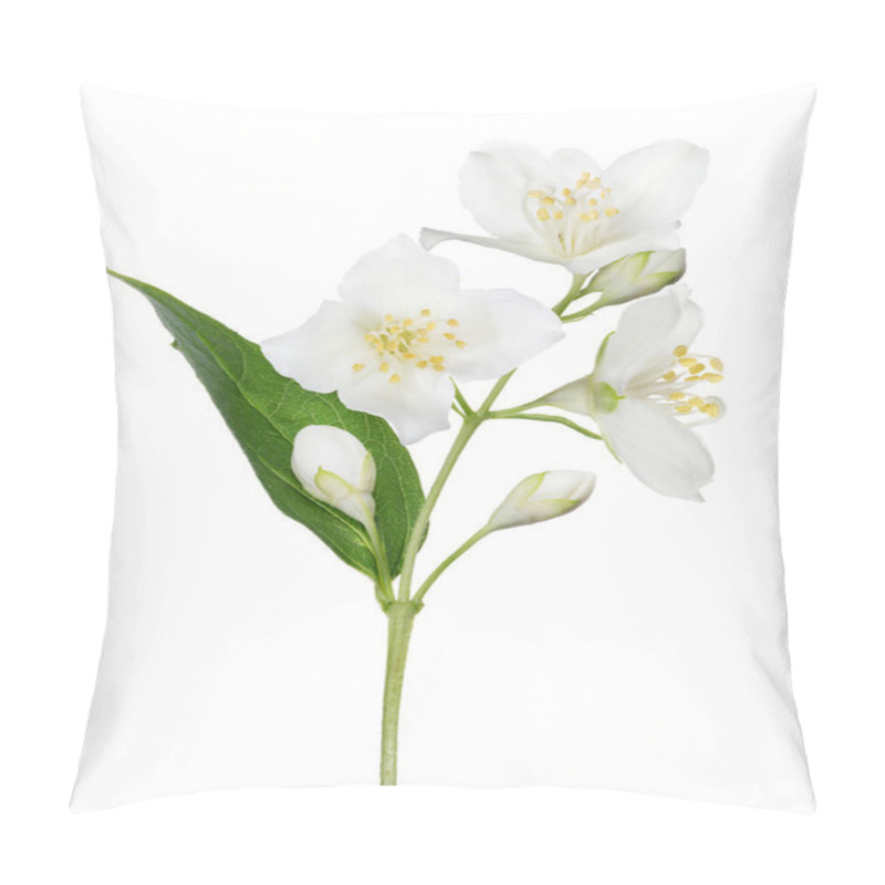 Personality  Isolated Jasmine Branch With Single Leaf Pillow Covers