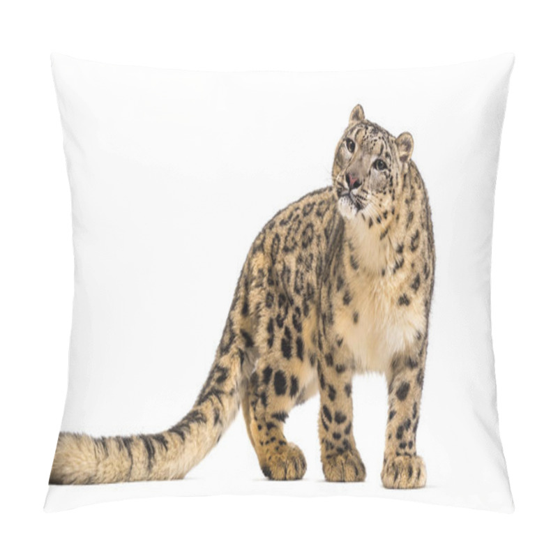 Personality  Snow Leopard, Panthera Uncia, Also Known As The Ounce Pillow Covers