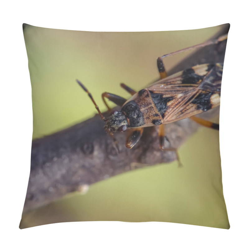 Personality  Rhyparochromidae Sits On A Branch. Macro Photo Of An Insect Pillow Covers