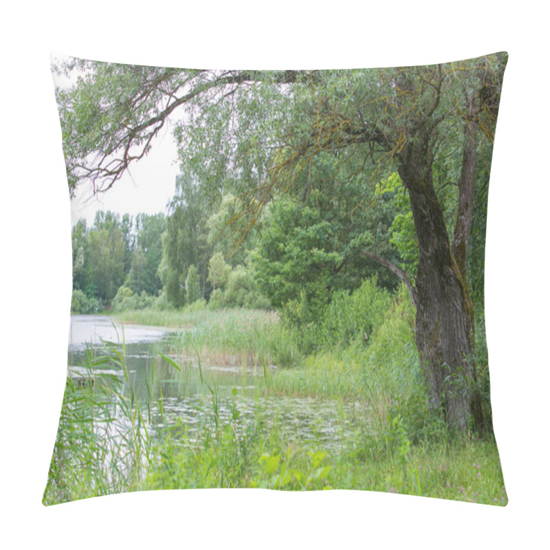 Personality  City Riga  And Lake Jugla, Summer. Green Grass And Tree Leaves. 2018 Travel Photo. Pillow Covers