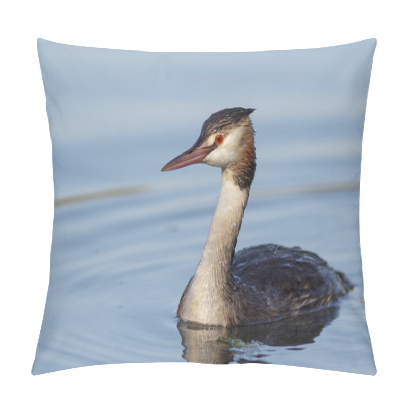 Personality  Great Crested Grebe Pillow Covers