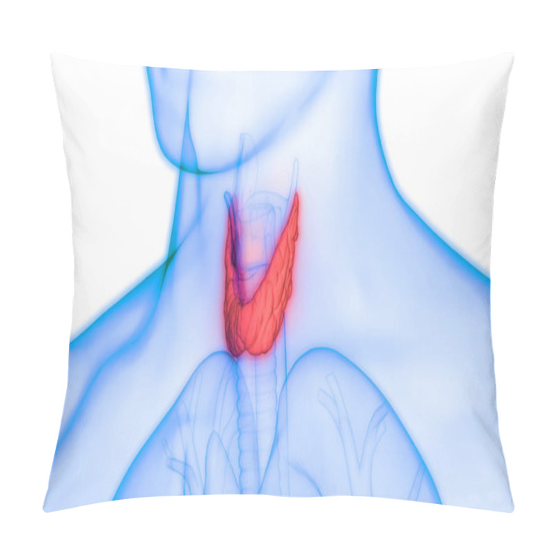 Personality  Human Body Glands Thyroid Gland Anatomy. 3D - Illustration Pillow Covers