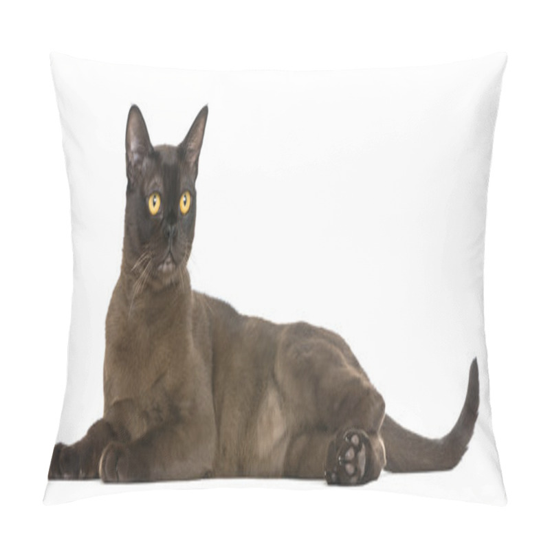 Personality  Bombay Cat Lying And Looking Away, Isolated On White Pillow Covers